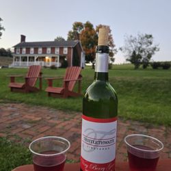 Thistlethwaite Vineyards - Berry Berry wine