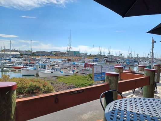 Café Marina & Woodley's Bar by null