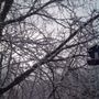 Photo of Moon Mountain Rv Resort