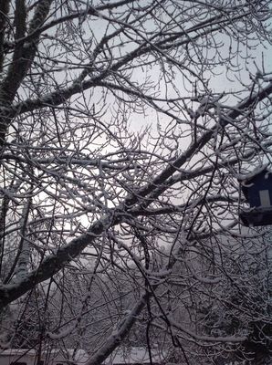 Moon Mountain RV Resort