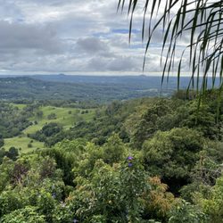 Mayfield Patisseries & Chocolate - The view from the deck, there is sheltered seating available