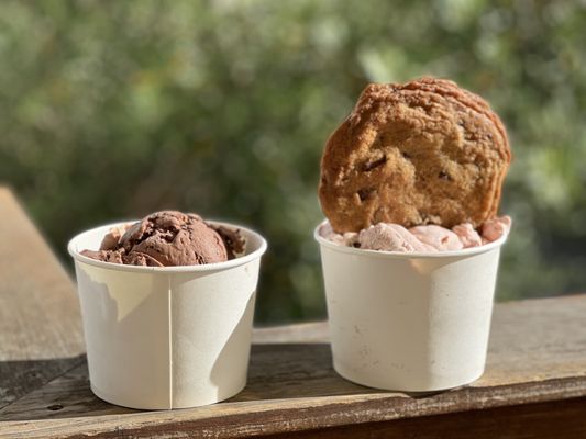 Ginger's Divine Ice Creams by null