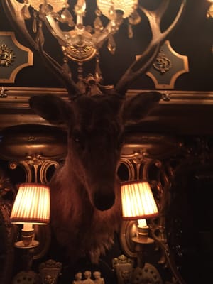 Trump Room by null