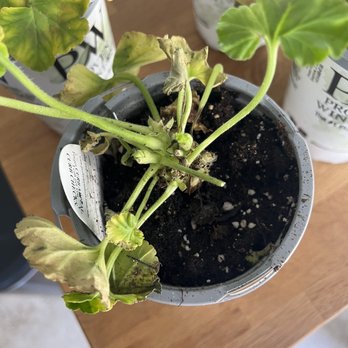 Proven Winners - Nurseries & Gardening Near Me - DeKalb, Illinois