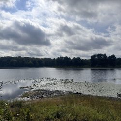 Cash Lake
