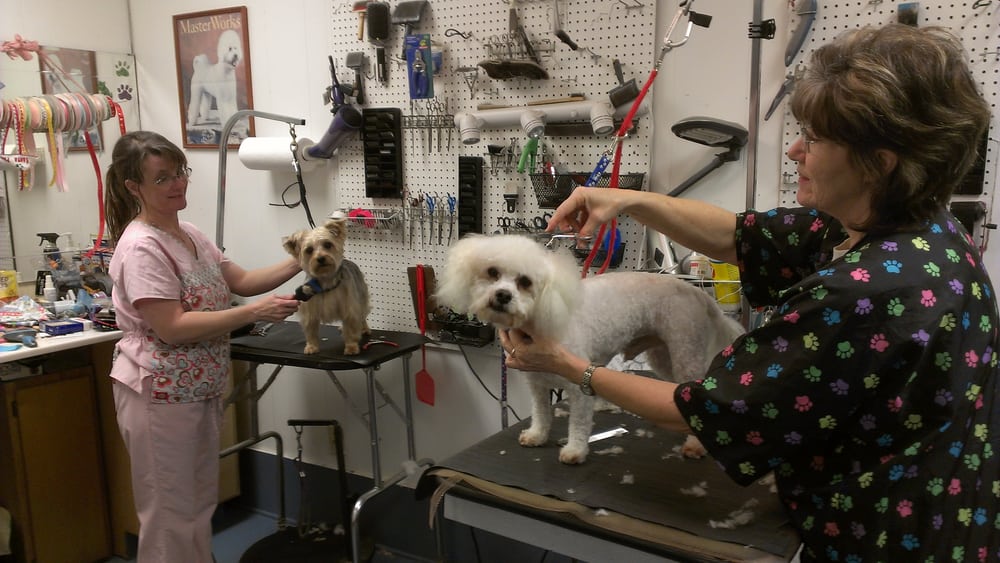 MOUNTAIN VIEW PET LODGE Updated October 2024 230 Thrasher Ln