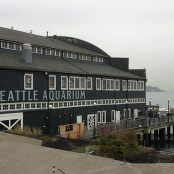 Seattle Aquarium - Aquariums Near Me - Seattle, Washington Seattle Aquarium - Aquariums Near Me - Seattle, Washington