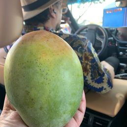 9/14/23 Mangoes bigger than Hubby's head....well not really but close! 0.39 cents each-what a steal!!