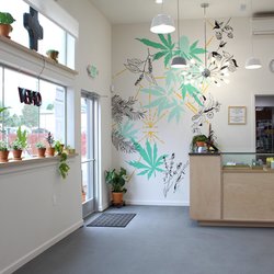 Treestar - Light and bright