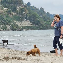 Women so happy with her dog that she is in denial that her dog actually pee on someone. Women so happy with her dog that she is in denial that her dog actually pee on someone.