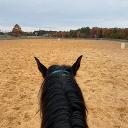East Fork Stables - In arena