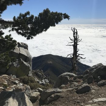 Cucamonga Peak - Hiking Near Me - Mount Baldy, California Cucamonga Peak - Hiking Near Me - Mount Baldy, California