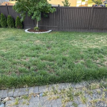Patrick Lawncare - Before Andre's care - Lawn Services Near Me Patrick Lawncare - Before Andre's care - Lawn Services Near Me