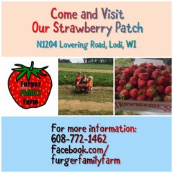 Furger Family Farm