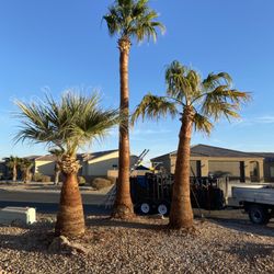 Prolific Landscaping Services - After