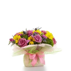 Grand Floral Monroe