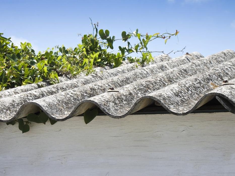 Greene Environmental Services - mold inspector in Livonia, MI