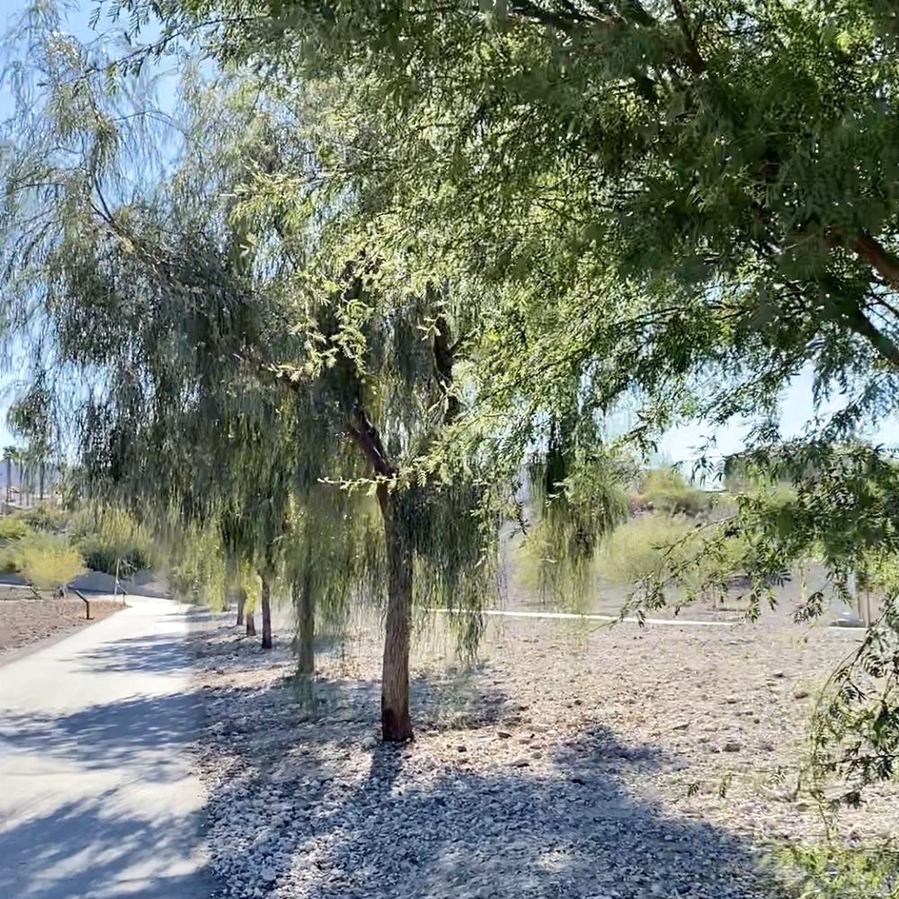 Cornerstone Park - Lovely walking trails, both paved and dirt - Lakes Near Me - Henderson, Nevada Cornerstone Park - Lovely walking trails, both paved and dirt - Lakes Near Me - Henderson, Nevada