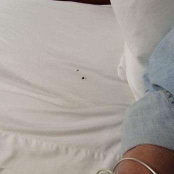 Rodeway Inn - Some stain on sheets - Hotels Near Me - Ephrata, Washington