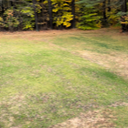 Riverview Landscapes