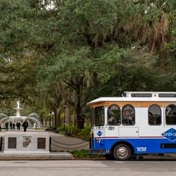 Gray Line Savannah