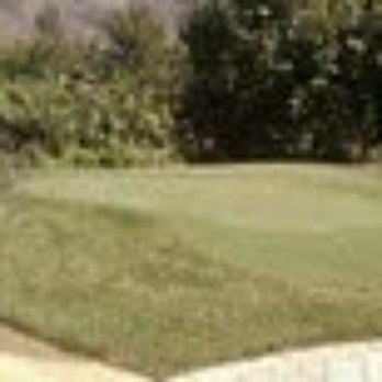 Maravilla Gardens - Putting green right before ceremony site - Venues & Event Spaces Near Me - Camarillo, California Maravilla Gardens - Putting green right before ceremony site - Venues & Event Spaces Near Me - Camarillo, California