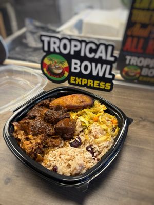Tropical Bowl by null