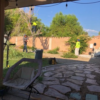 Noble Tree Service - Dead tree removal and stump grinding - Tree Services Near Me - Las Vegas, Nevada Noble Tree Service - Dead tree removal and stump grinding - Tree Services Near Me - Las Vegas, Nevada