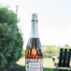 Sannino Vineyard