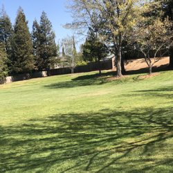 Tawny Park - Mostly grass