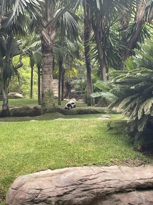 Bioparc Fuengirola by null