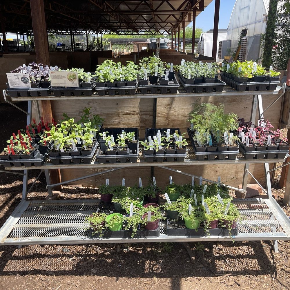 Arizona Worm Farm - Summer Herbs & summer flower starts - Attraction Farms Near Me - Phoenix, Arizona Arizona Worm Farm - Summer Herbs & summer flower starts - Attraction Farms Near Me - Phoenix, Arizona