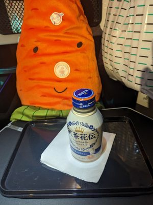 ZIPAIR Tokyo by null