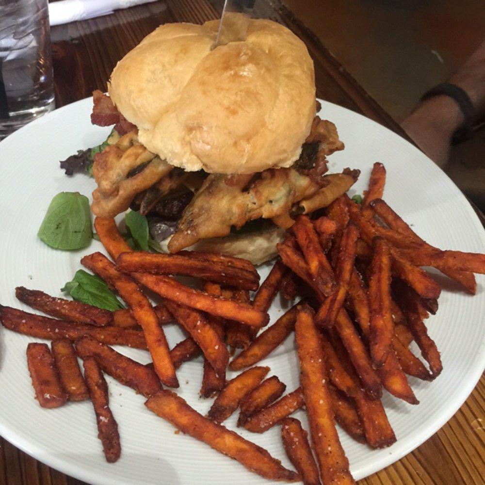 Alien Brew Pub - Burgers Near Me - Albuquerque, New Mexico Alien Brew Pub - Burgers Near Me - Albuquerque, New Mexico