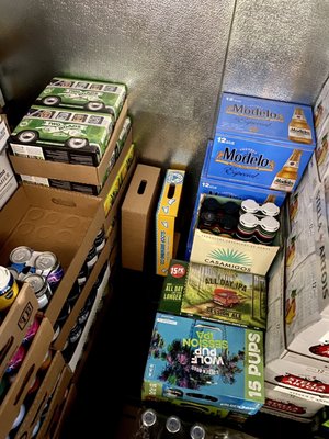 The Wise Old Dog by null