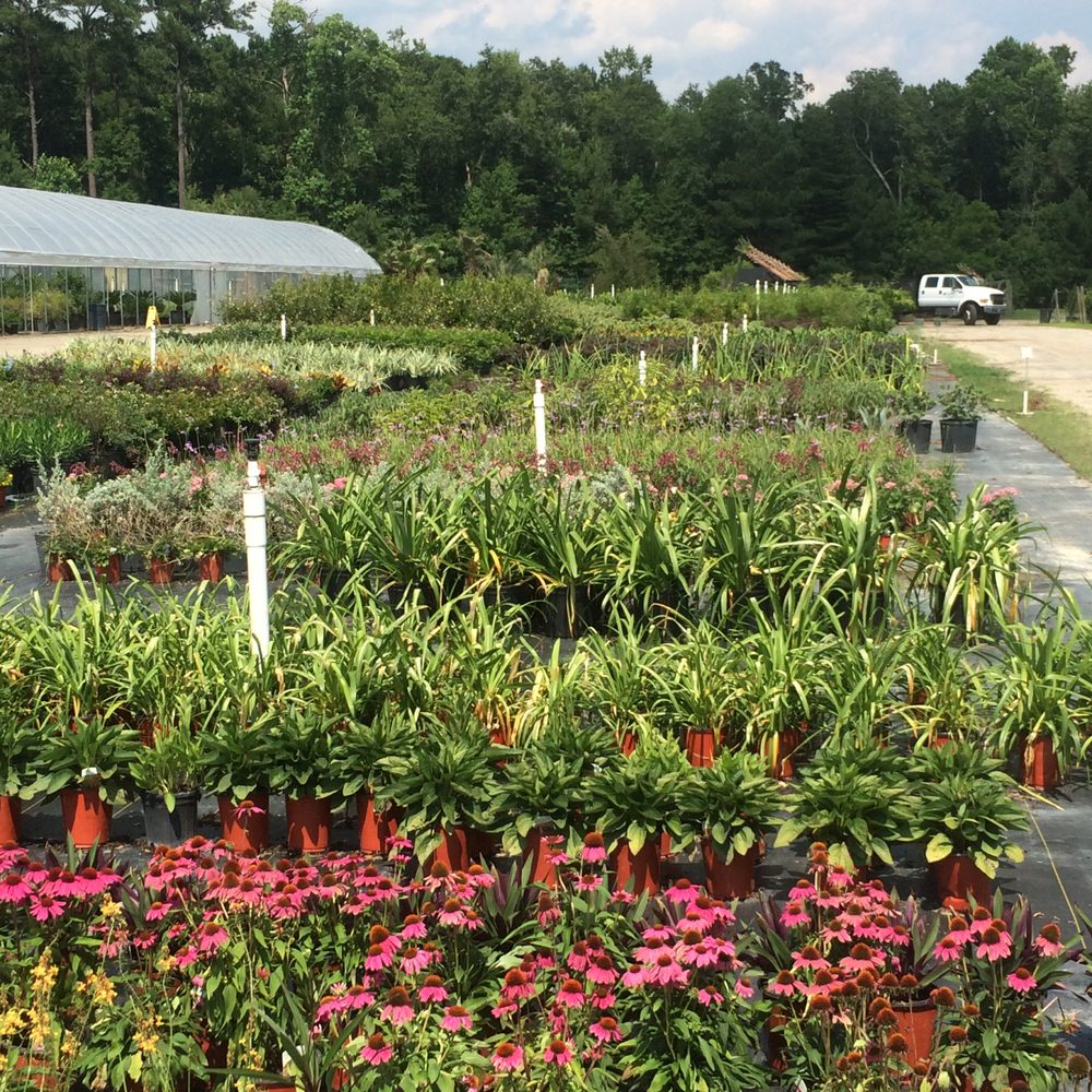 Flowers Landscaping Effingham Il Best Flower Site
