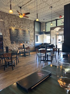 Loungin' Lizard by null