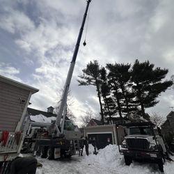 Specialized Rigging and Tree Care - Storm Damage Tree Removal: give us a call we're ready to take care of your hazardous trees.