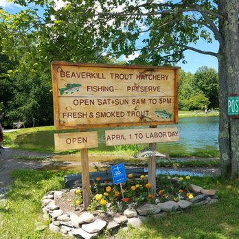 Beaverkill Trout Hatchery - a sign for the beaverkill trout hatchery - Meat Shops Near Me - Lew Beach, New York