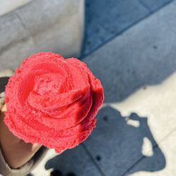 Amorino - Raspberry gelato