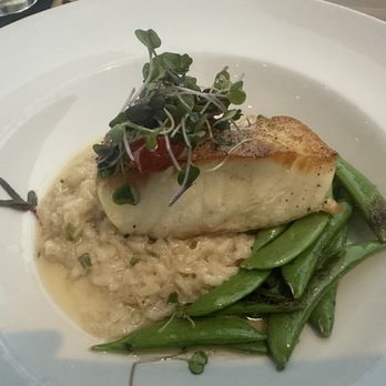 Silo Terrace Oyster Bar - Chilean Sea Bass dish - Cocktail Bars Near Me - San Antonio, Texas