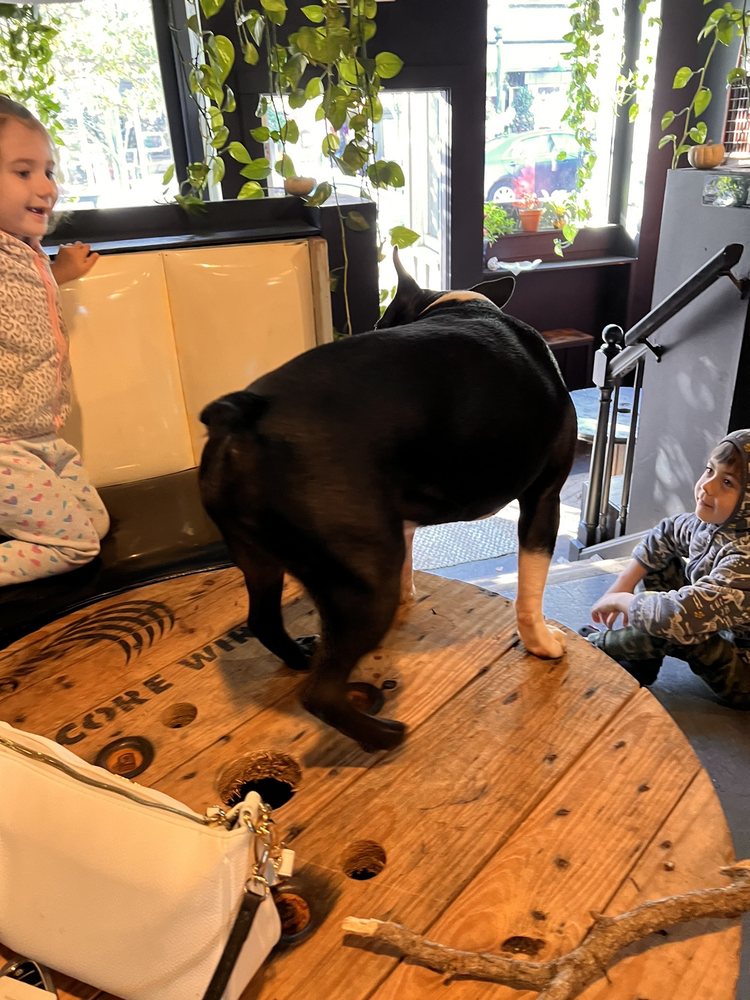 Wise House Coffee Roasters Image