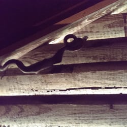 Protekt Pest Solutions - Snake in customers attic.