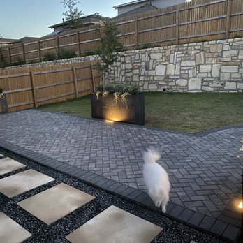 Luciano's Landscape & Design - a white cat on a patio - Lawn Services Near Me
