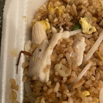 Bamboo Cafe - A roach leg in my food!!! - Chinese Near Me - Glendale, Arizona Bamboo Cafe - A roach leg in my food!!! - Chinese Near Me - Glendale, Arizona