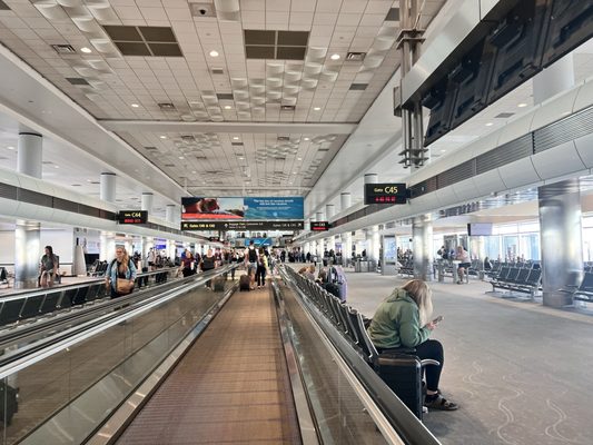 Denver International Airport by null
