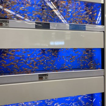 Petco - Pet Training Near Me - Mira Loma, California Petco - Pet Training Near Me - Mira Loma, California