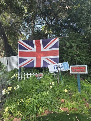 Rose Tree Cottage by null