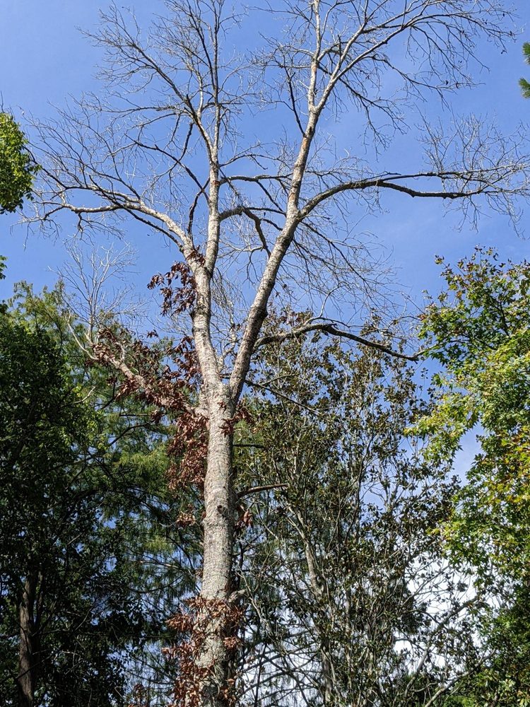 Social spots from The John Fairey Garden