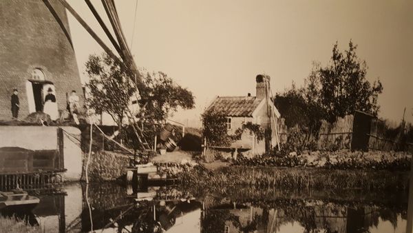2961 Kinderdijk by null